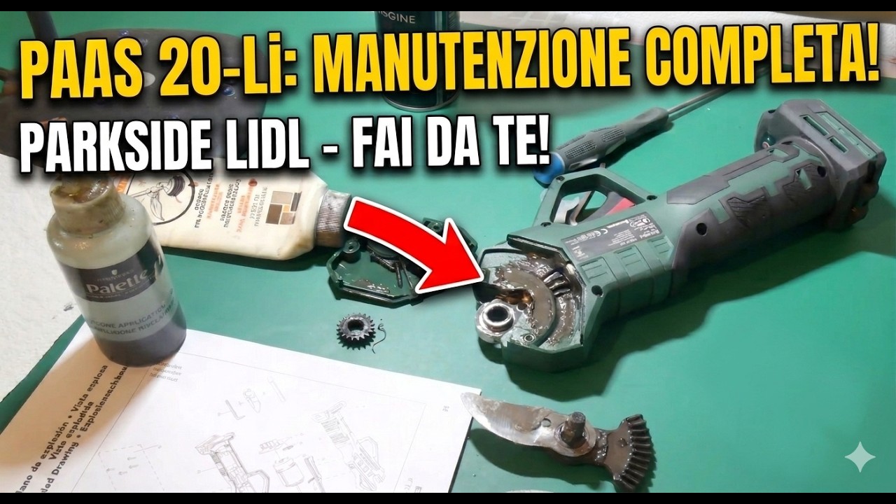 PAAS20-Li A1 Lidl  Parkside Manutenzione Cesoie a batteria PAAS20-Li A1 Maintenance Cordless shears