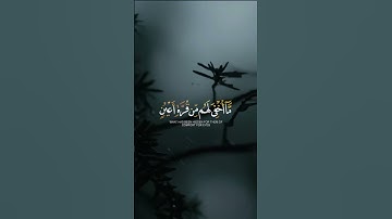 ما تيسر من سورة السجدة 🤍 ｜ القارئ رعد الكردي ｜ قرآن كريم
