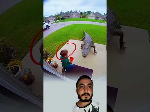شعور الأم لا يخطئ ناداها قلبها فلب ى صوتها لتنقذك في اللحظة التي كتب الله فيها نجاتك 
