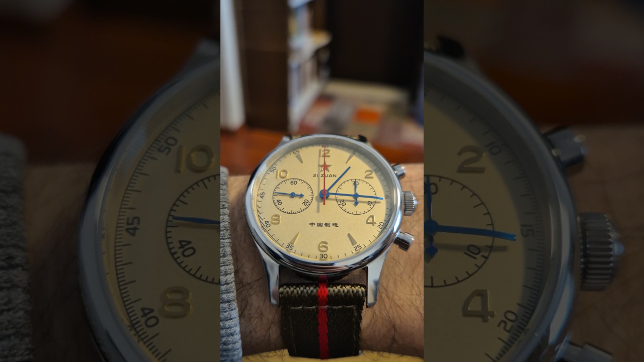 SEAGULL 1963 21 ZUAN