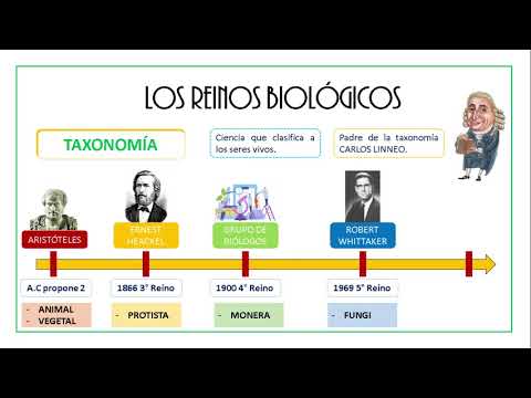 LOS REINOS BIOLÓGICOS