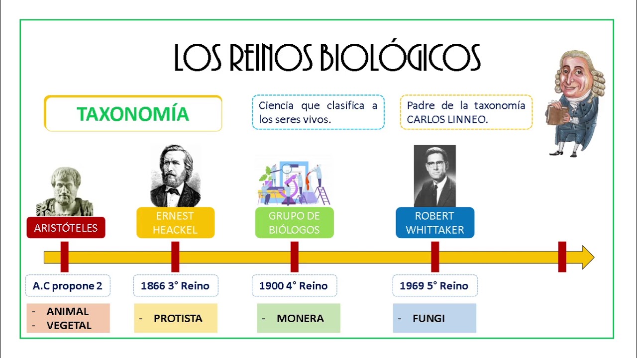 Resumen de el reino monera (99) foto