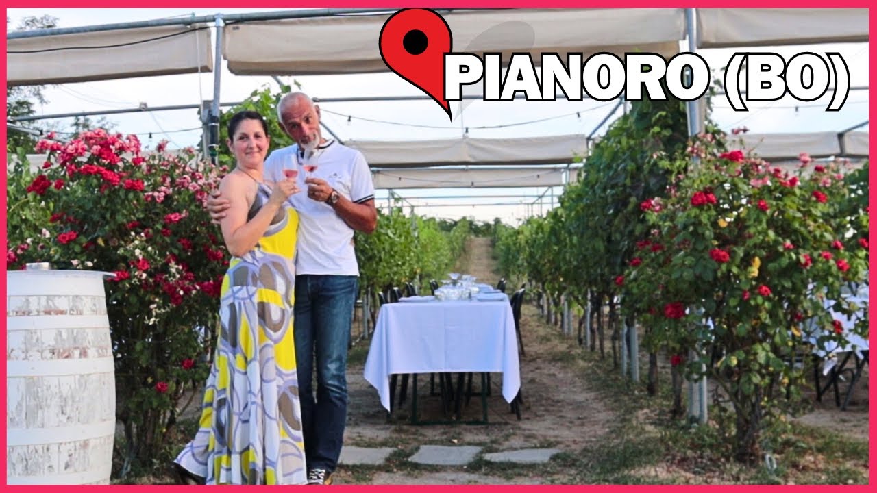 La CENA IN VIGNA a un prezzo bazza