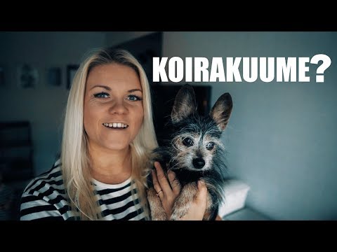 Video: Käyttäytymismuutokset, Jotka Liittyvät Glukokortikoidien Käyttöön Koirilla