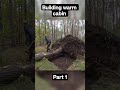 Building warm cabin part 1 #shorts #viralshorts