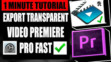 How To Export Transparent Video in Premiere Pro - (Step by Step Guide – Full Tutorial)