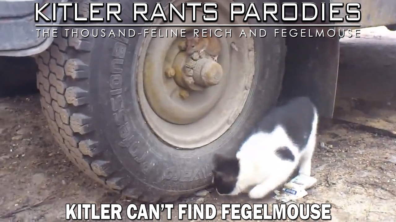Kitler can't find Fegelmouse