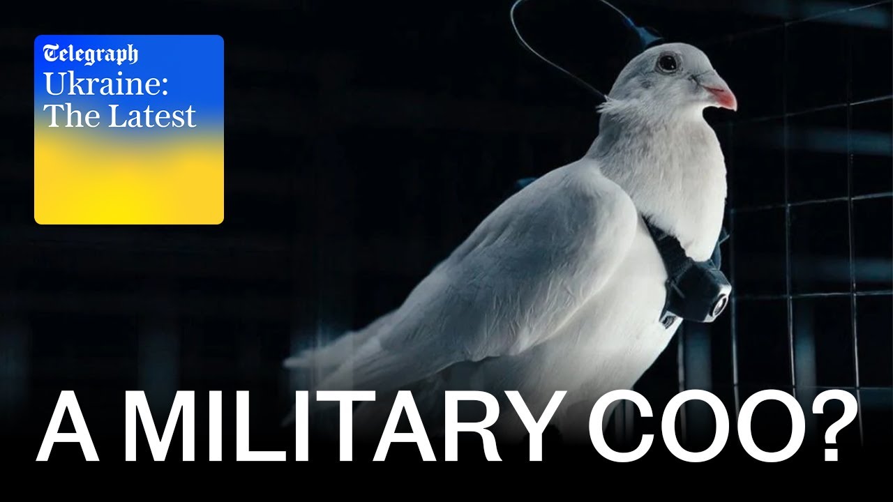 nuclear treaty russia