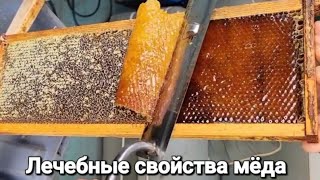 Полезные свойства меда.Всё про мёд