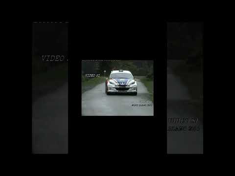 Peugeot 207 S2000 by Video Si