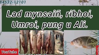 Wan khwai ha pung u ali, ribhoi, umroi, Lad-mynsaiñ ioh kynjut shiphang shiphang.84532_12101 