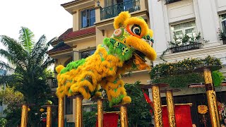Best Acrobatic Lion dance  2025 by Nhon Nghia | Nguyen Trong Tuyen street