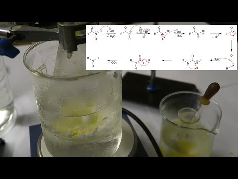 anthranilic acid and the hofmann rearrangement reaction