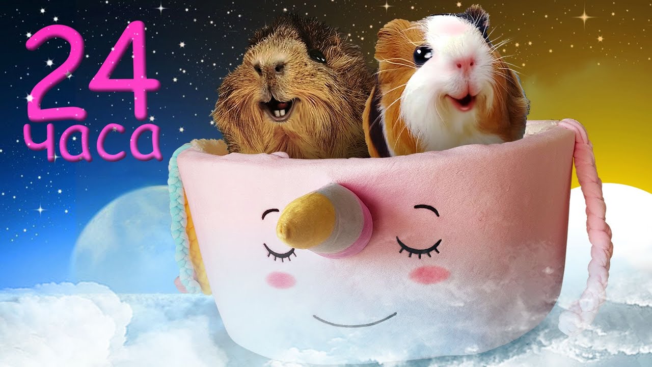 Свинка Бузя Новый Год