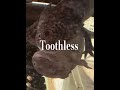 Toothless and rose edit{best of all time}#axolotl#edit#goat