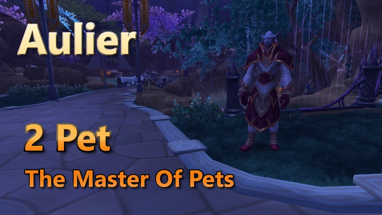 Aulier Master of Pets Pet Battle World Quest The Master Of Pets 2 Pet Leveling Strategy
