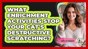 What Enrichment Activities Stop Your Cat
