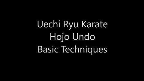 Uechi Ryu Karate -  Hojo Undo  -  Basic Techniques
