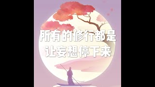 201808 所有的修行都是让妄想停下来50654
