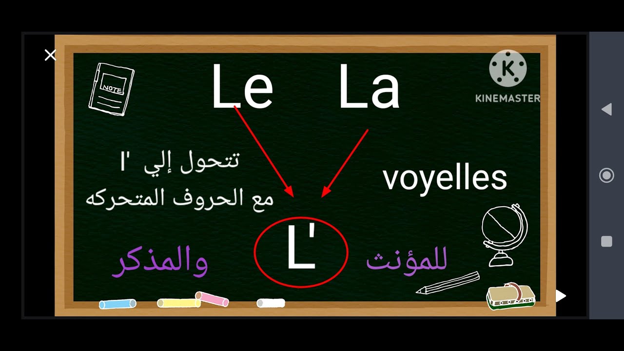 Les articles définiازاي نستخدم ادوات المعرفه في الفرنسيه