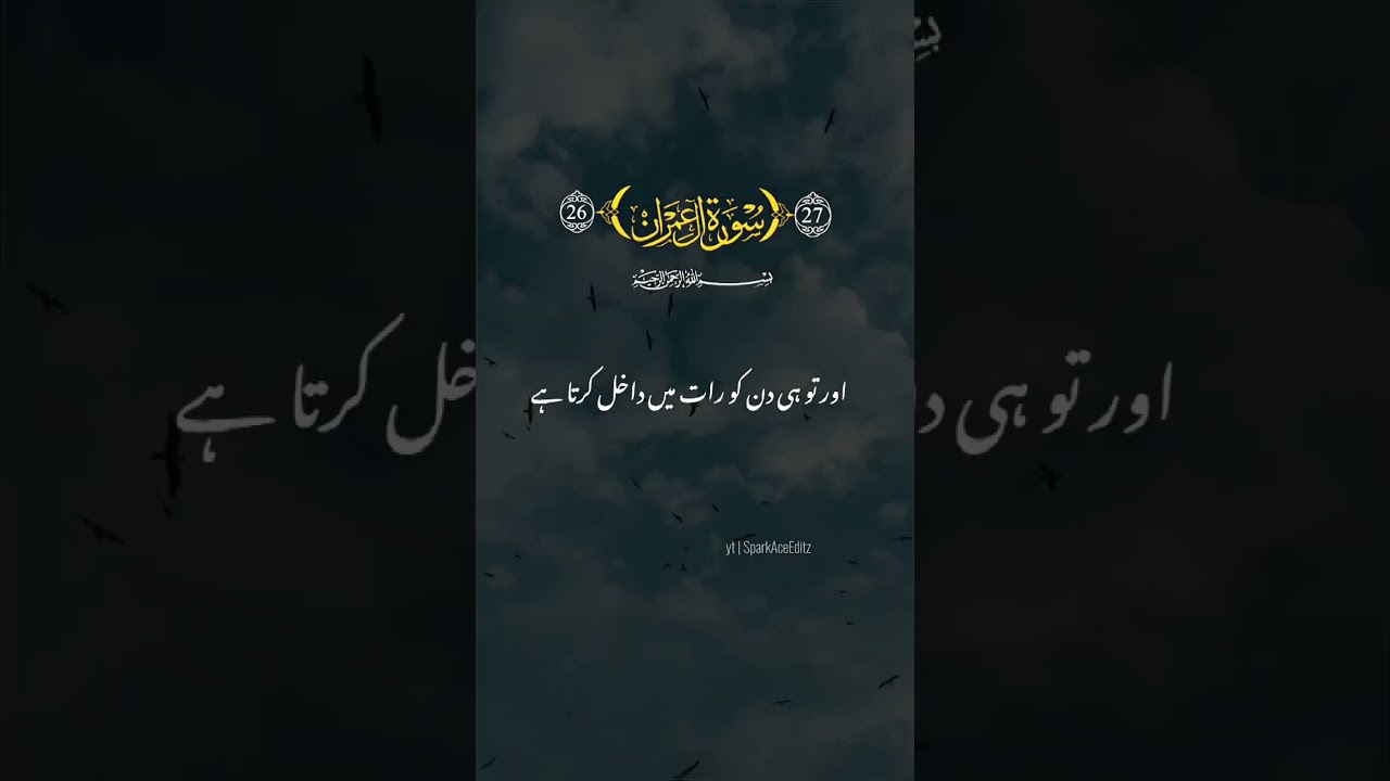 Surah Al e Imran ✨️| Video edit | WhatsApp status | Instagram reel | Spark Ace Editz