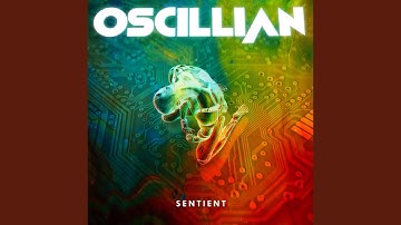 In the Company of Robots