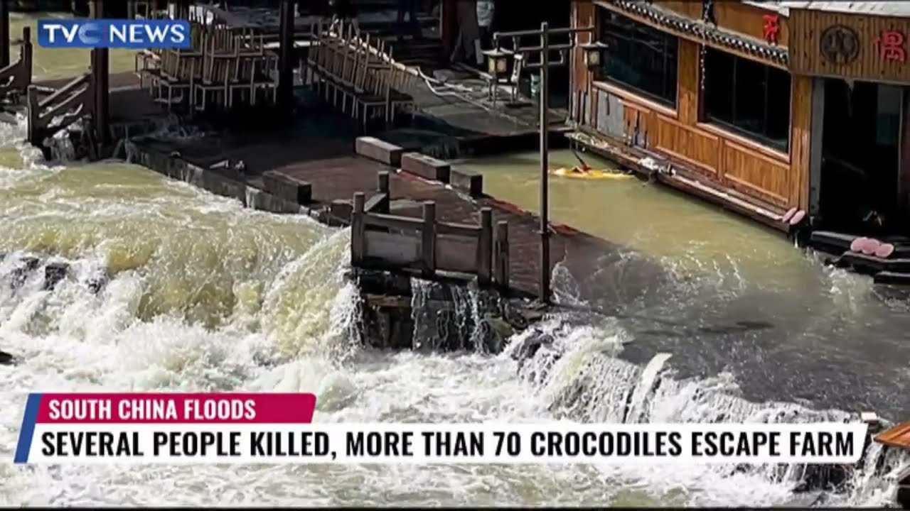 Hunt for nearly 70 crocodiles that escaped during China floods, China