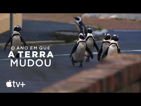 Vídeo: Como A Terra Mudou