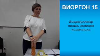 Практическое применение Виоргонов 11-20.  О.Цирулис. Часть 2