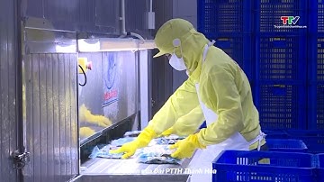 Thanh Hoá: Chỉ số sản xuất công nghiệp tháng 8 tăng 25,5% so với cùng kỳ