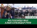 Мал базарда мал алып саткандар үчүн пайдалуу суроо-жооп ОШ 01.05.21