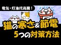 【最新版】猫の寒さ対策!同時に簡単にできる節電方法も詳しく解説