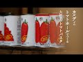 【カルディ】おすすめ商品でつくる料理/父でも簡単/おいしいトマトソースパスタ/料理vlog/暮らし
