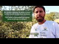 Videoaula Restauração Florestal