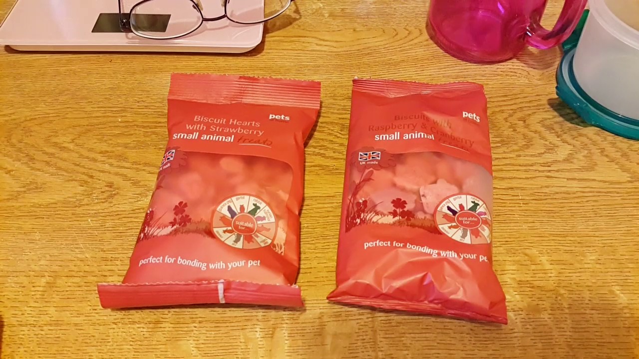 Pets At Home Hamster Treats And Wasabi Update! YouTube