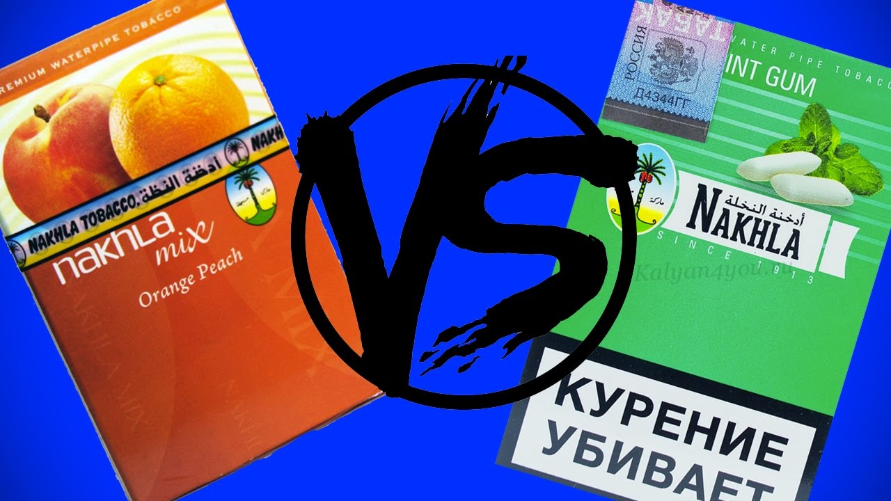 Новая нахла против старой nakhla. Сравнение нахлы. Versus Nakhla