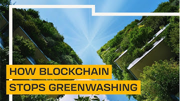 Stop Greenwashing: How Blockchain Fixes Carbon Market Trust​