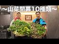 大量の山菜と仕込み放棄する料理人