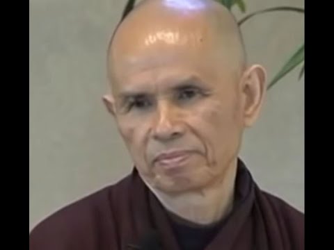 What is motivating you? Thich Nhat Hanh on volition