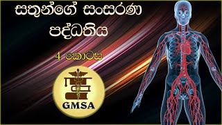 උසස් පෙළ ජීව විද්‍යාව ,සතුන්ගේ සංසරණ පද්ධති,හතරවන කොටස By-Dulmi Madhushika Neththasinghe