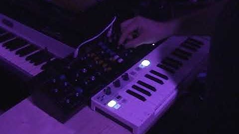 Behringer Model D and Arturia Keystep arpeggiator and LFO