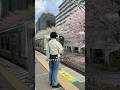 28歳介護士彼女なし手取り19万の春の宮城を1人旅#介護士の日常#一人旅#宮城旅行#宮城観光#旅行