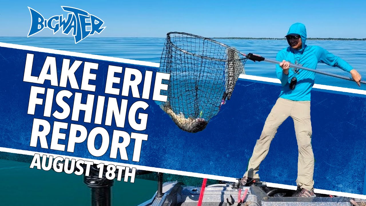 Lake Erie Fishing Report August 18th - Walleye and Perch 