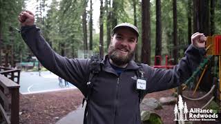 What to Expect When You're a Chaperone