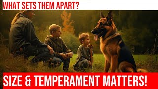 German Shepherd vs Shiba Inu: Size and Temperament Showdown by Happy Hounds Hangout No views 2 days ago 4 minutes, 34 seconds