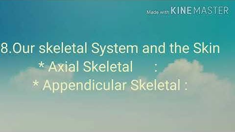 General Science/ class  : 6th/ 8.Our skeletal System and the Skin/ video part -3||Mr.Santosh Chavan.