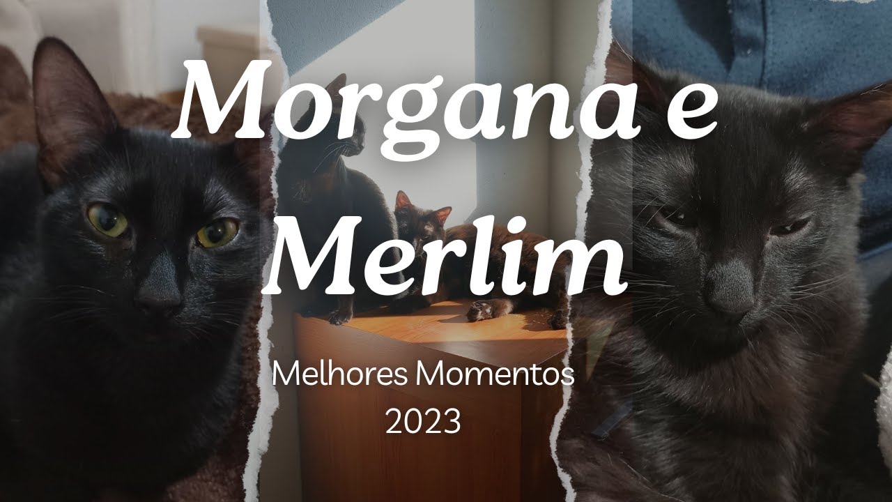 Merlim Melhores Momentos Merlim e Morgana 2023 - YouTube
