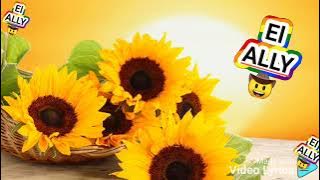 TOÑO ROSARIO: ERES UNA FLOR (LETRA)