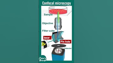 Confocal microscopy explained in 2 min | 2 min microscopy playlist