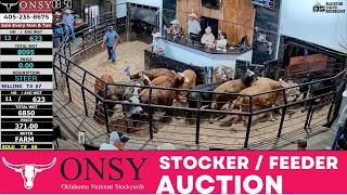 OKLAHOMA NATIONAL | Weekly Feeder Auction #FeederCattle #CattlePrices #OKCStockyards | 7/6/26